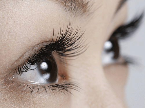 eyelash extentions perth 2